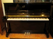 YM5